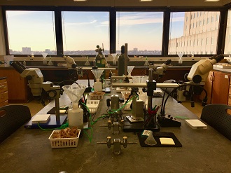 a lab bench and window overlooking the city